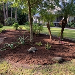 Mulch & Sod Installation