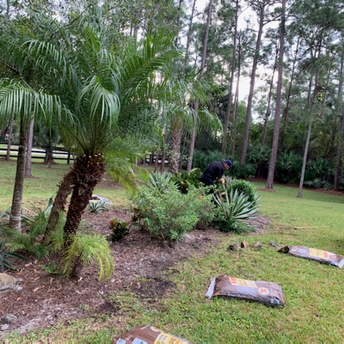 Mulch & Sod Installation