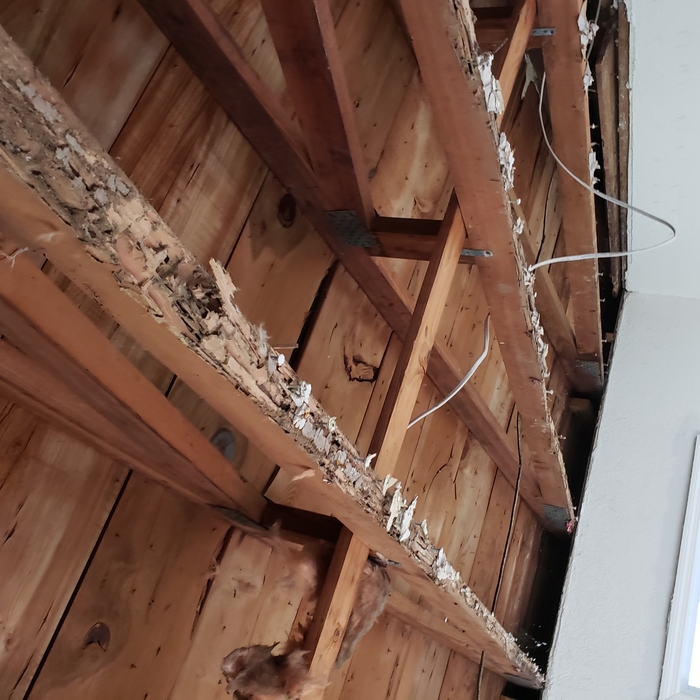 Replace ceiling joist and sheetrock