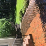 Pavers