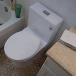 New 1-Piece Toilet Installed