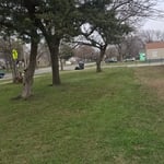 Mowing