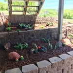 Claudia's Hillside