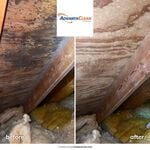 Mold