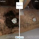 Mold
