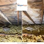 Mold
