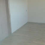kitchen/bathroom remodel