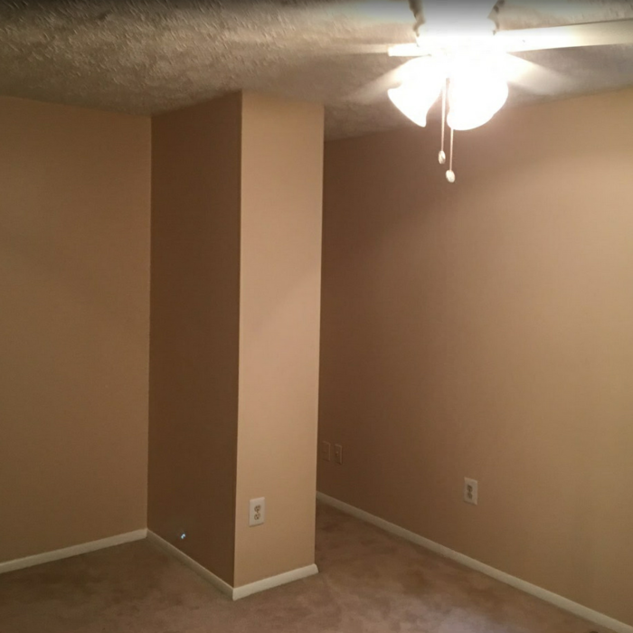 Interior Painitng and Flooring