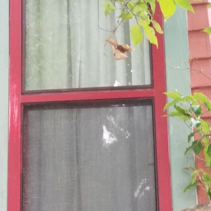 Window Cleaning