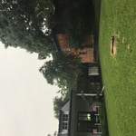 Tree removal in Texas