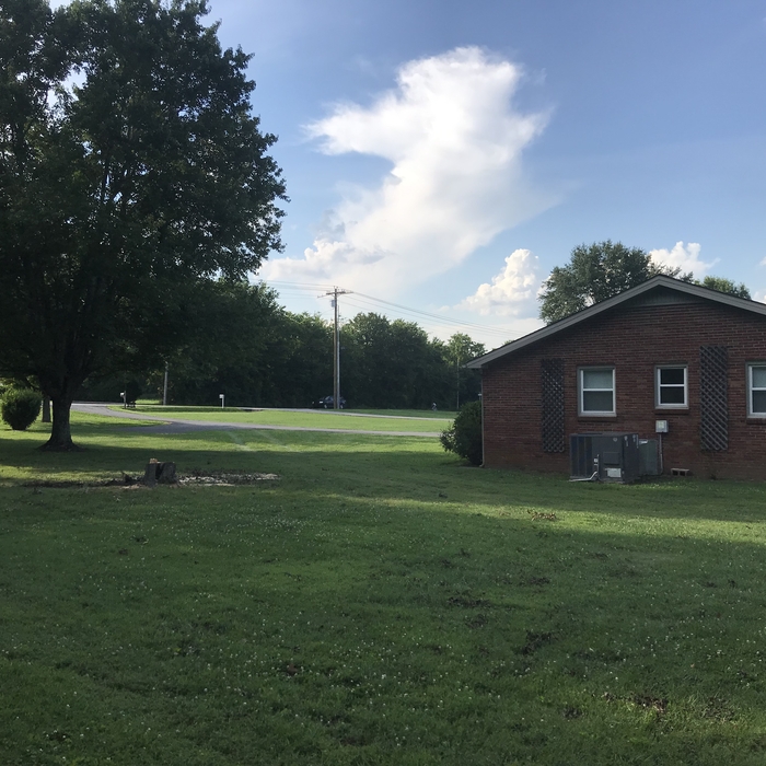 Tree removal in Tennessee