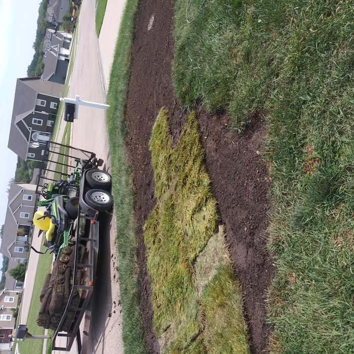 2019 sod job