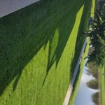 Lawn Maintenance