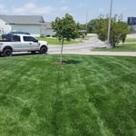 Lawn Maintenance