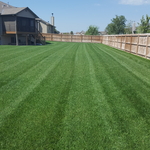 Lawn Maintenance