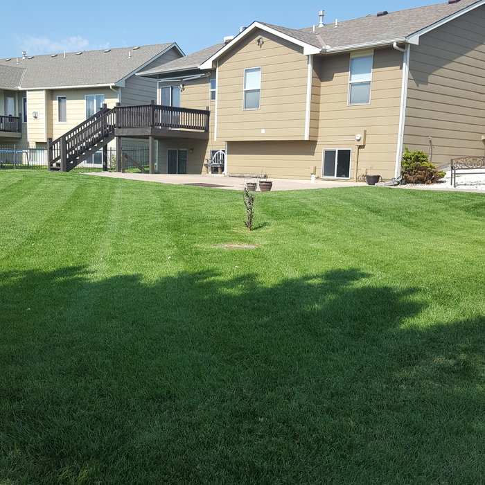 Lawn Maintenance