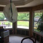 Mold Remediation