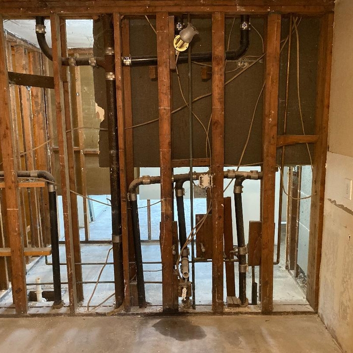 Mold Remediation