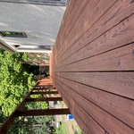 Deck Staining