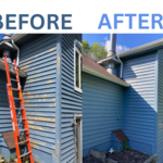 House Painting