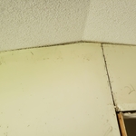 Linear Cracks