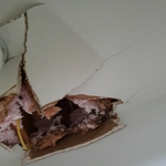 Ceiling Repair