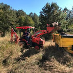 Yard debris removal, Wilson NC