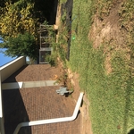 Sherry drive design
