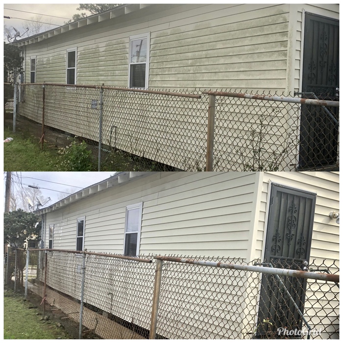 Algae Removal