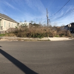 Overgrown Lot Before