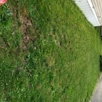 Basic mow picture one