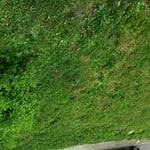 Basic mow picture two
