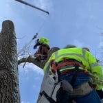 Various Jobs 2022
