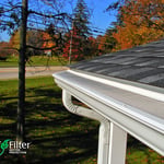 LeafFilter is not visible from the ground.