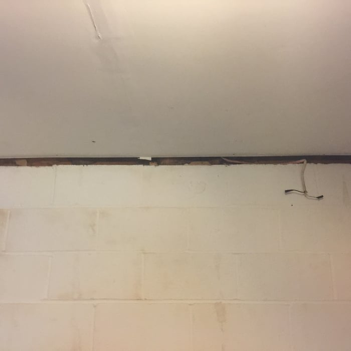 teddys basement