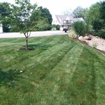 Straight lines lawn maint