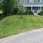 After mowing