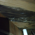 Water Damage