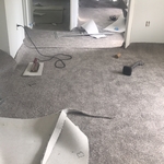 Tri level House