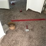 in the middle of trimming some carpet