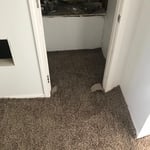 in the middle of trimming some carpet
