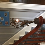 Newel