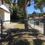 Side Lawn-Before