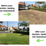 Lawn Rejuvenation