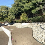 Backyard Project