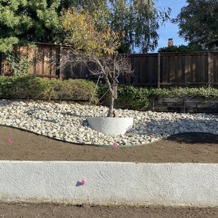 Backyard Project