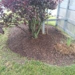 Our work
