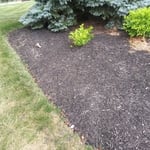 Our work