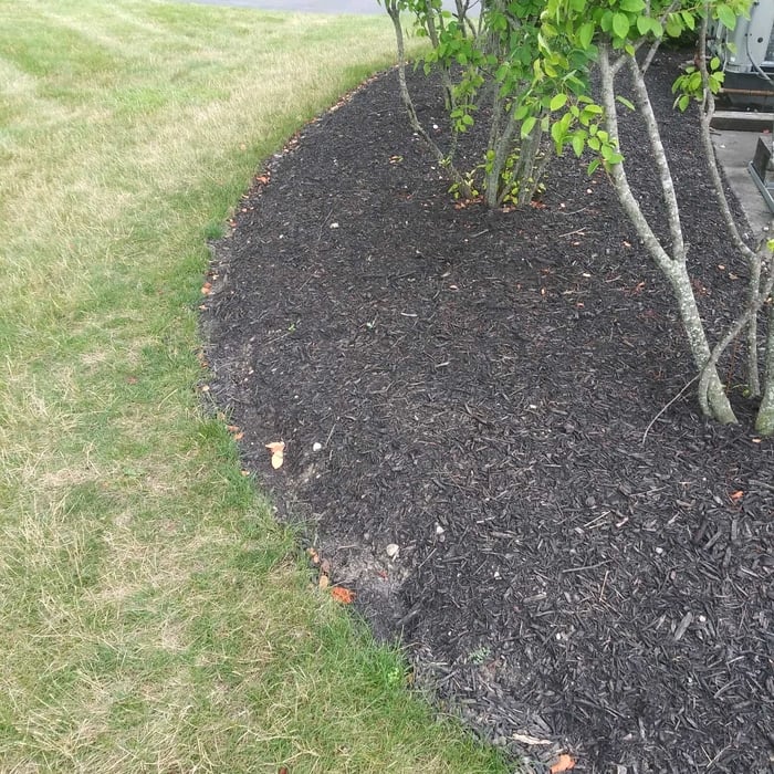 Our work