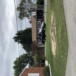 Tree removal